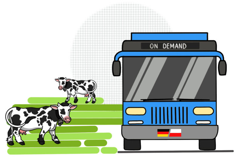 Kühe neben einem Bus